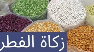 الفروقات الجوهرية بين الفقير والمسكين وضوابط زكاة الفطر عن الجنين والميت